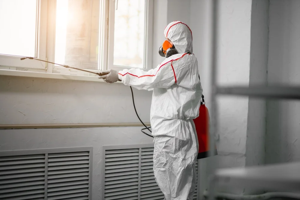 Professional mold remediation services in Harbor Beach, MI
